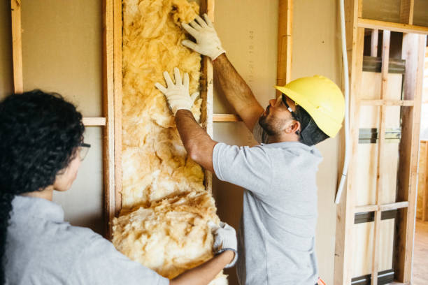 Professional Insulation in Rutherford College, NC